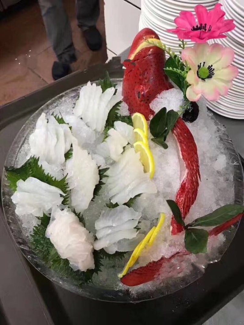 东星斑1~2公斤/尾食用