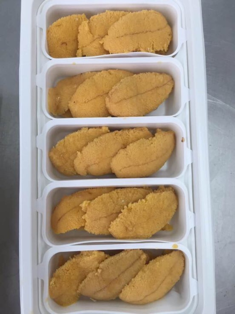 冰鲜，紫胆，马胆，新鲜加工，产地直供一手货源