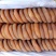 柿饼2~2.5两