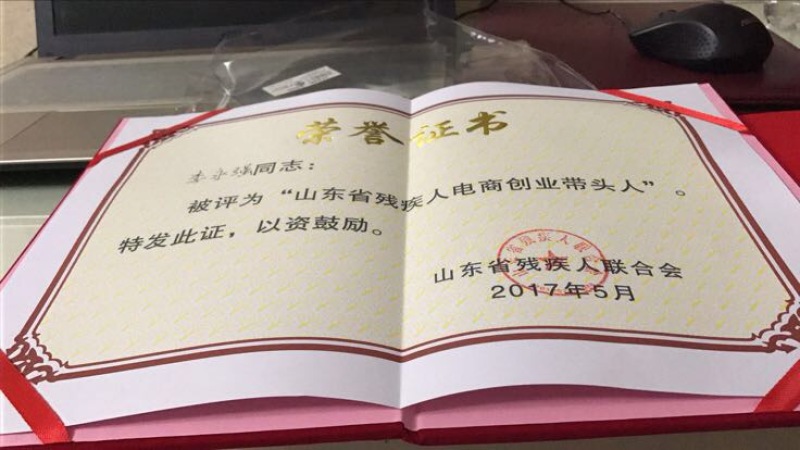 独立包装柿饼吊饼量大从优