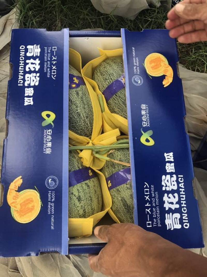 海南25号哈密瓜3斤以上椭圆形
