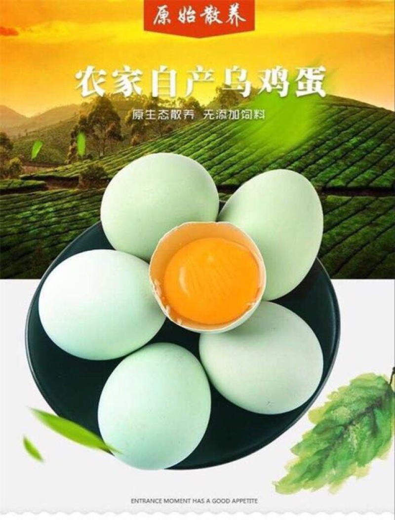 绿壳鸡蛋40~50g食用