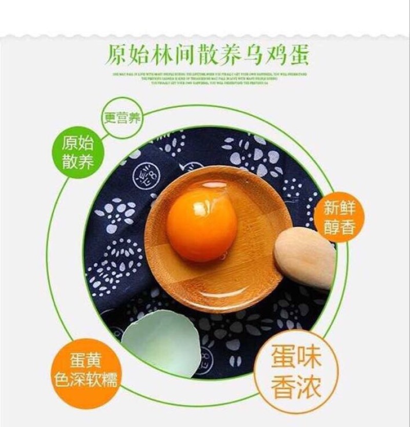 绿壳鸡蛋40~50g食用