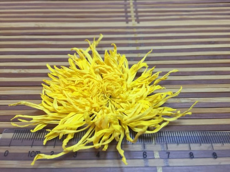 菊花茶特级