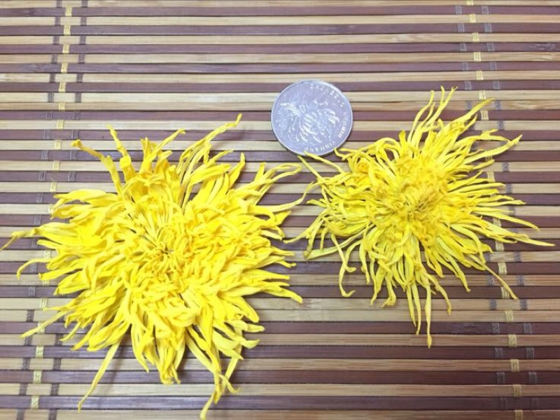 菊花茶特级
