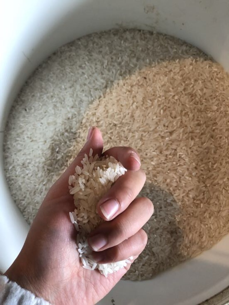 大禾米新米一级
