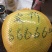 平和琯溪蜜柚2.5斤以上