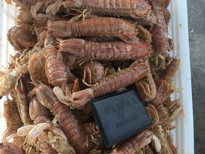 琵琶虾冻虾