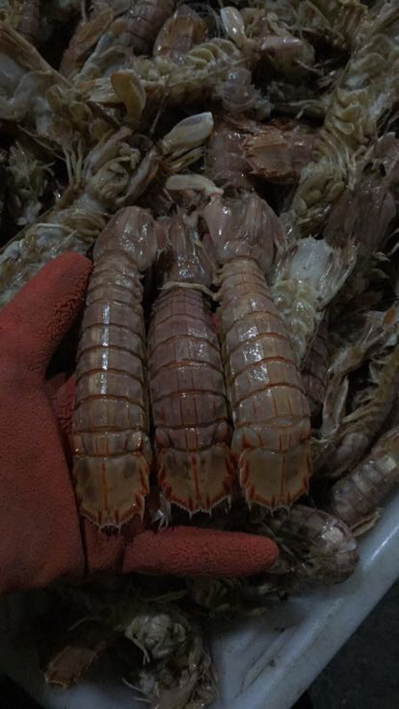 琵琶虾冻虾