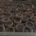 柿饼1~2两
