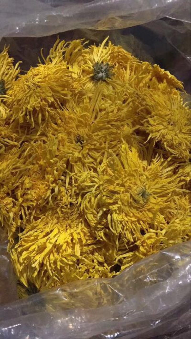 菊花茶特级
