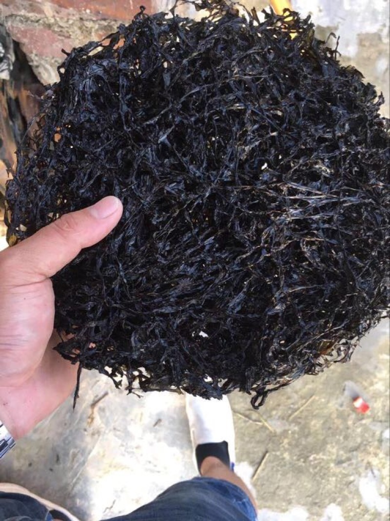 紫菜野生头水无沙紫菜