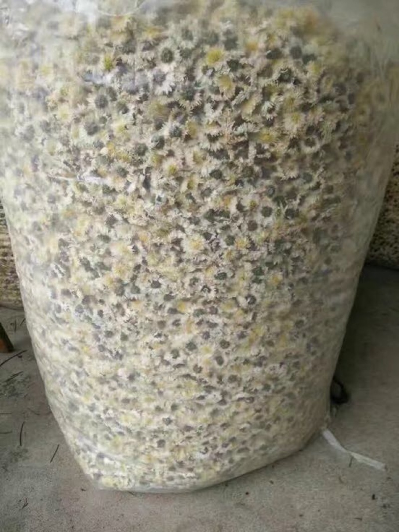 花茶特级
