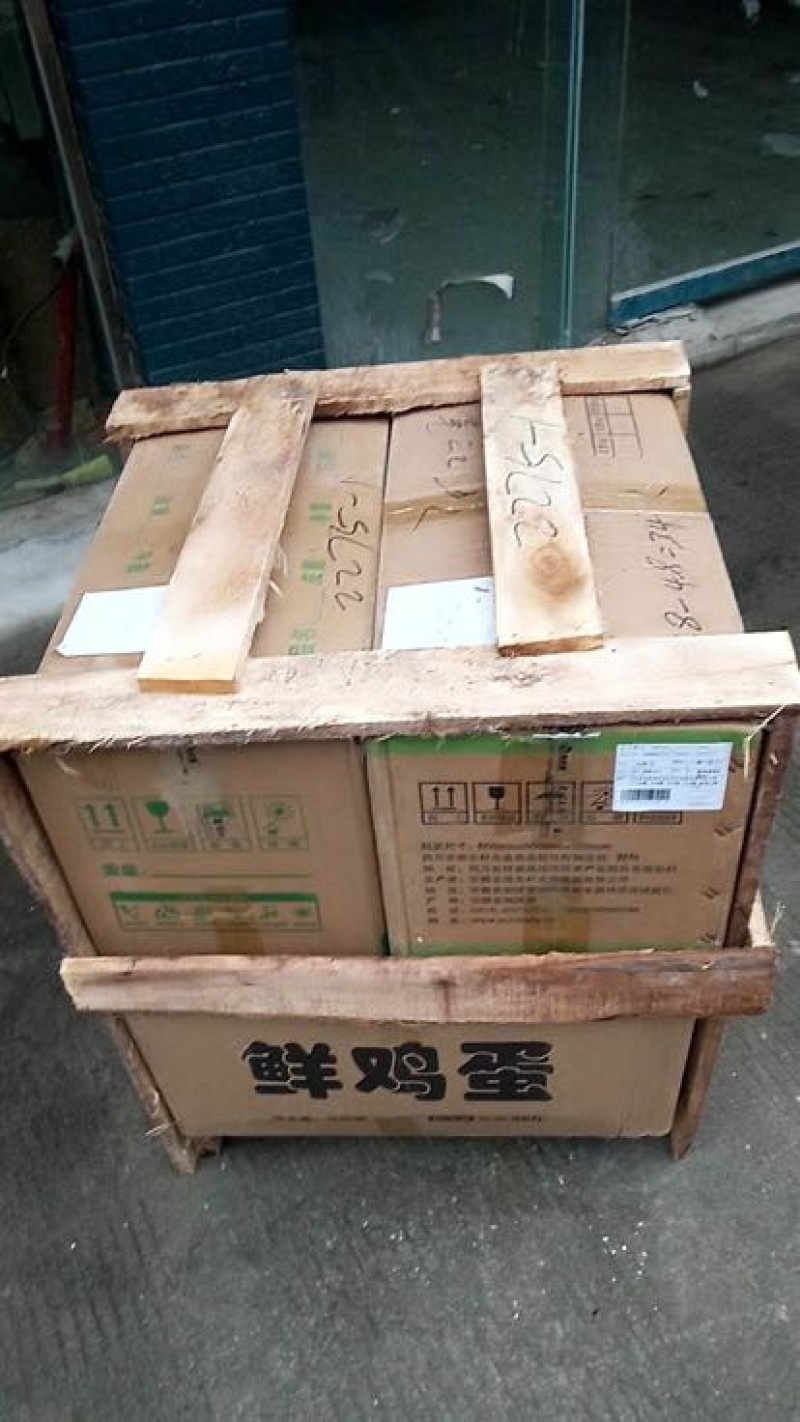 土鸡蛋40~50g食用
