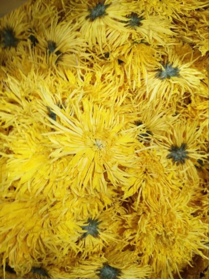 菊花茶二级