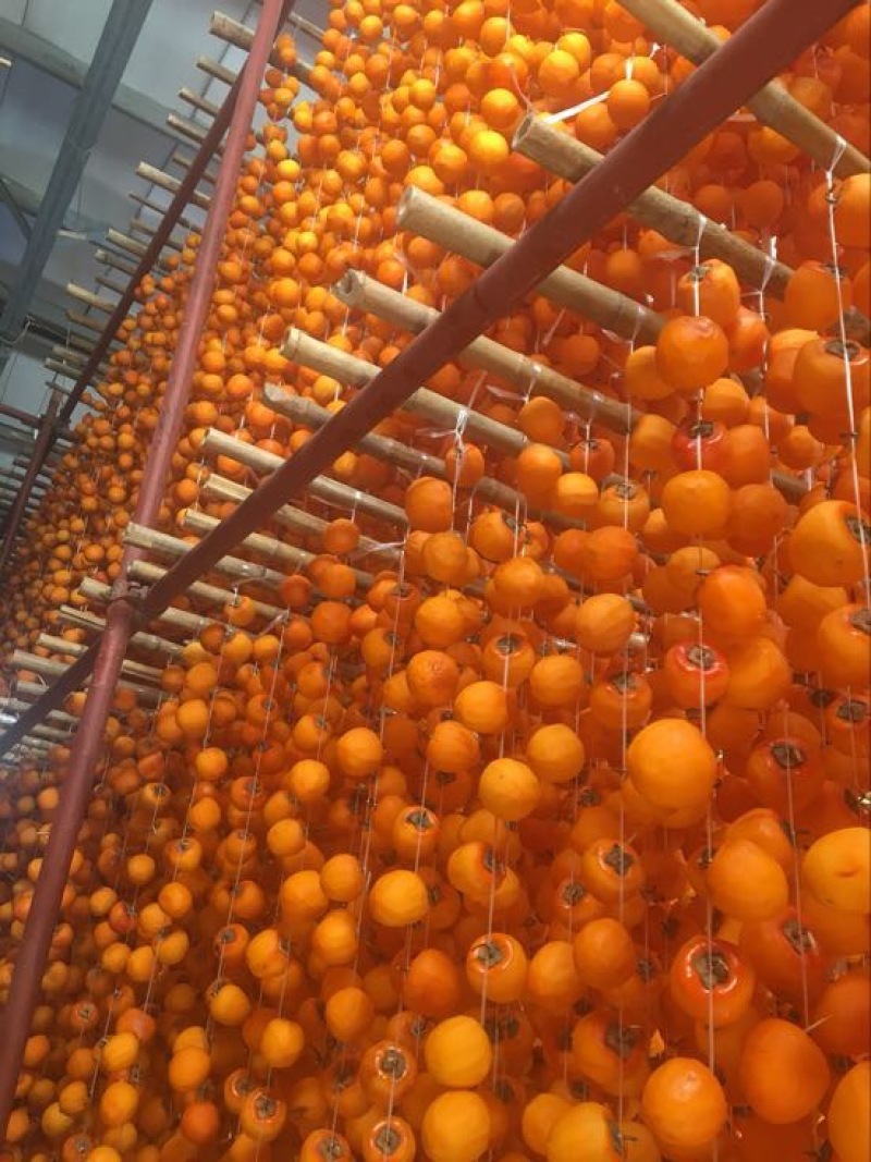柿饼1两以下
