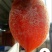 柿饼2~2.5两