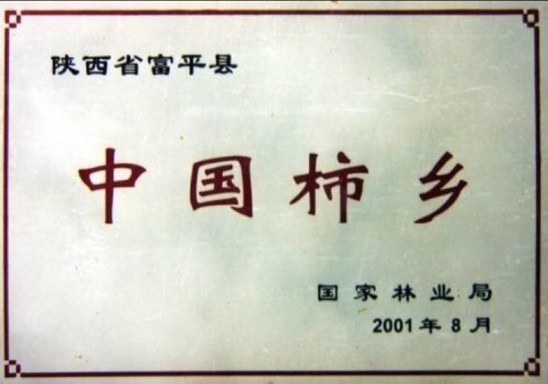 柿饼1~2两