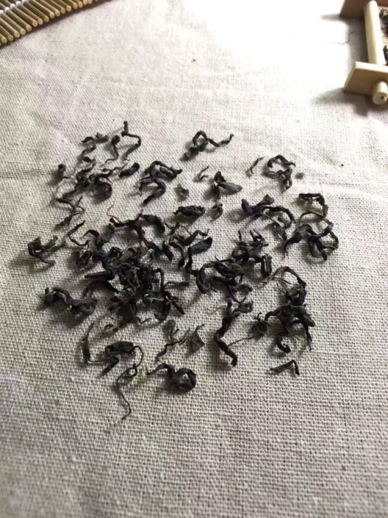 青钱柳茶特级
