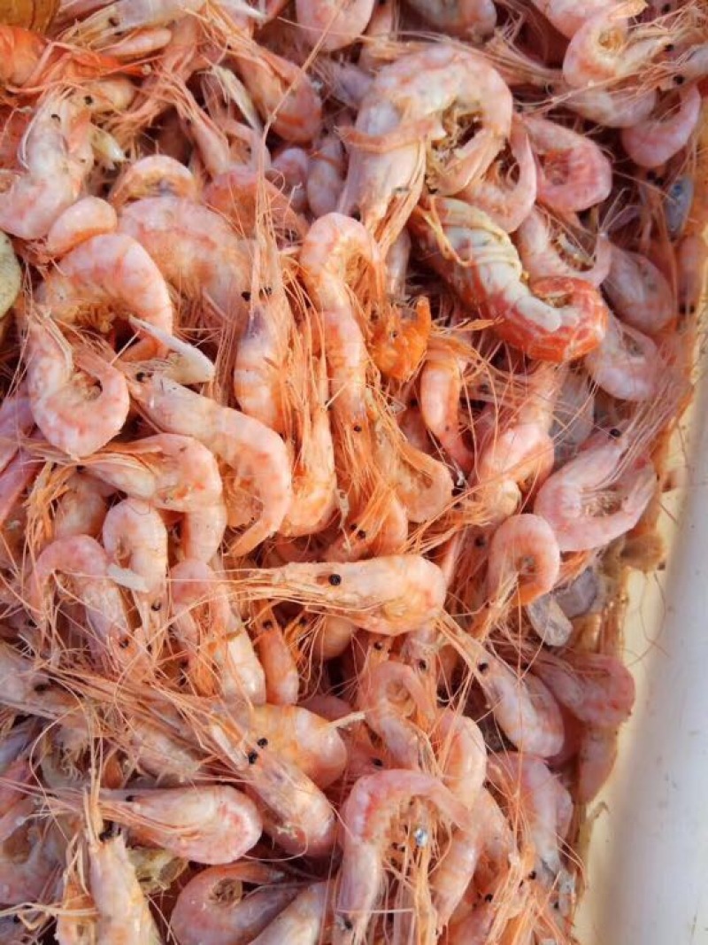 滨州红虾食用冻虾，大量供应油炸小食品