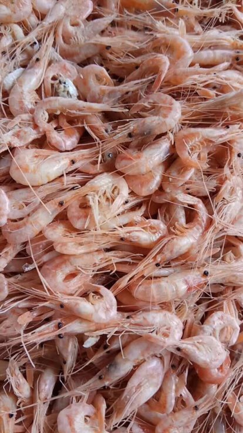滨州红虾食用冻虾，大量供应油炸小食品