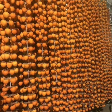 柿饼1~2两