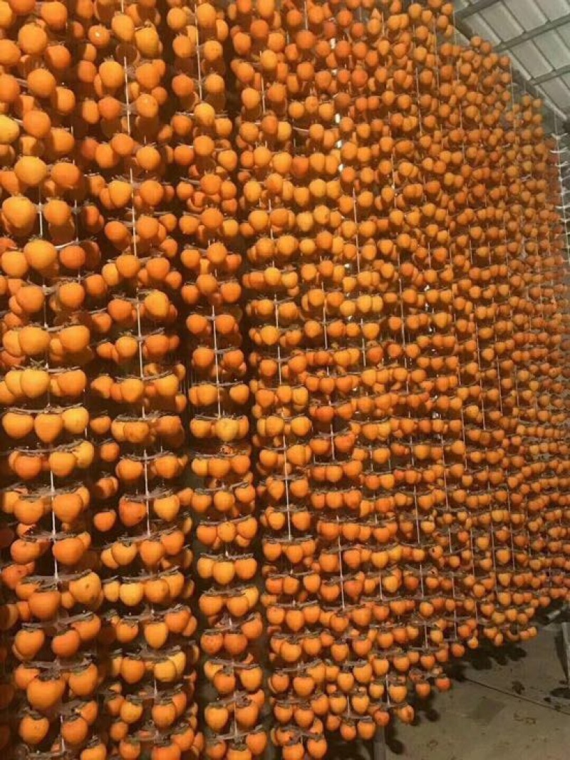 柿饼1~2两