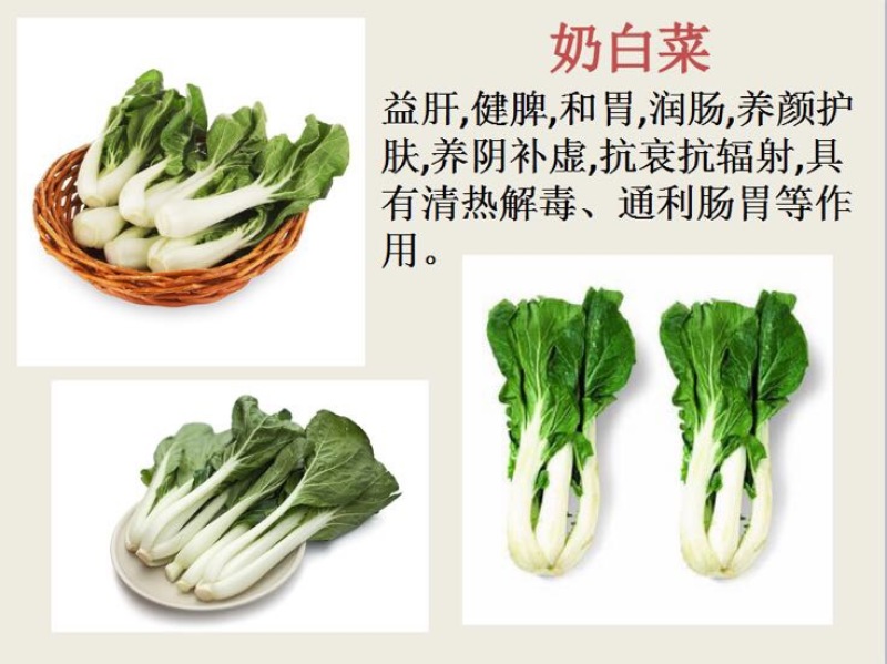 苦苣菜10~12厘米