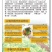 苦苣菜10~12厘米