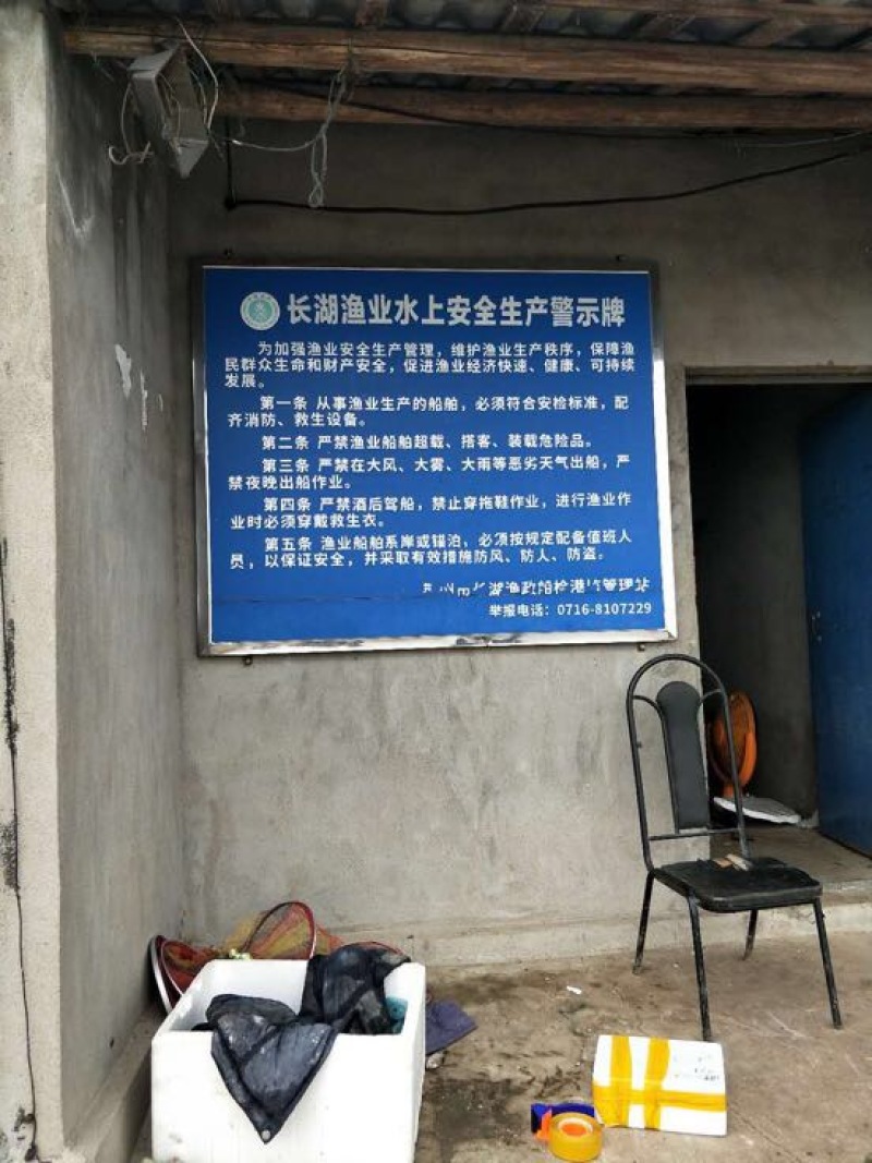 刀鱼食用冻鱼