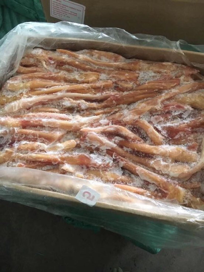 马肉冷冻