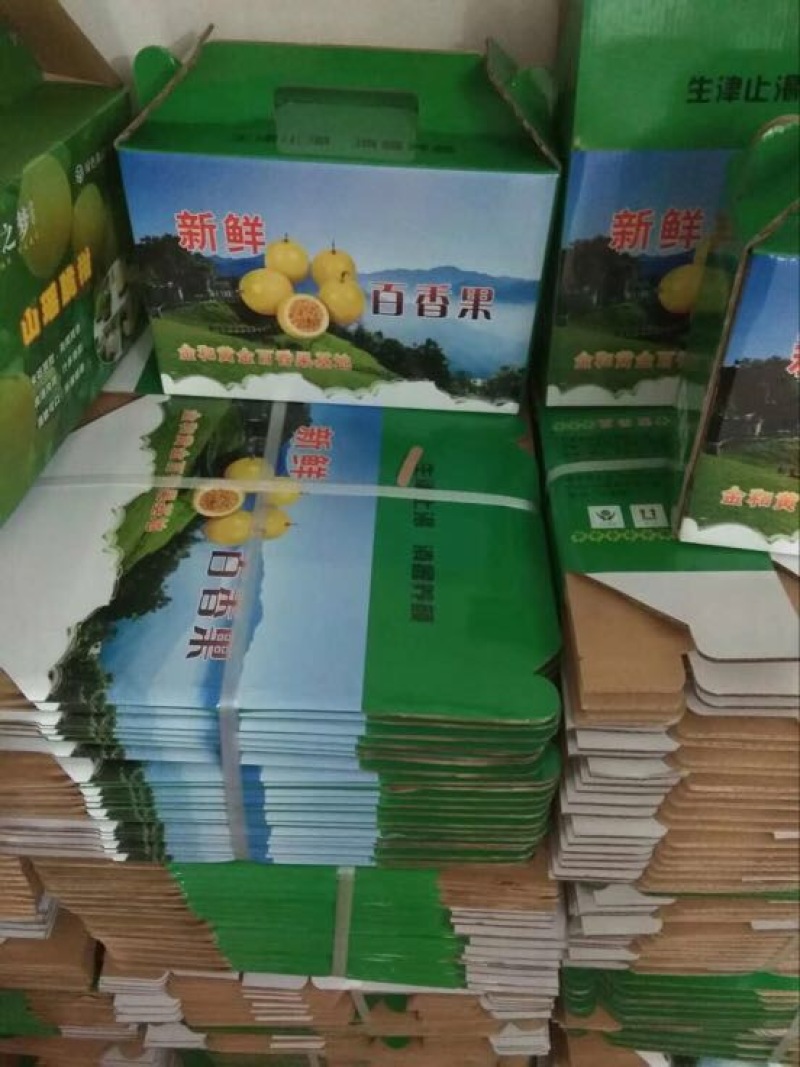 黄金百香果苗10~20cm高品质水果