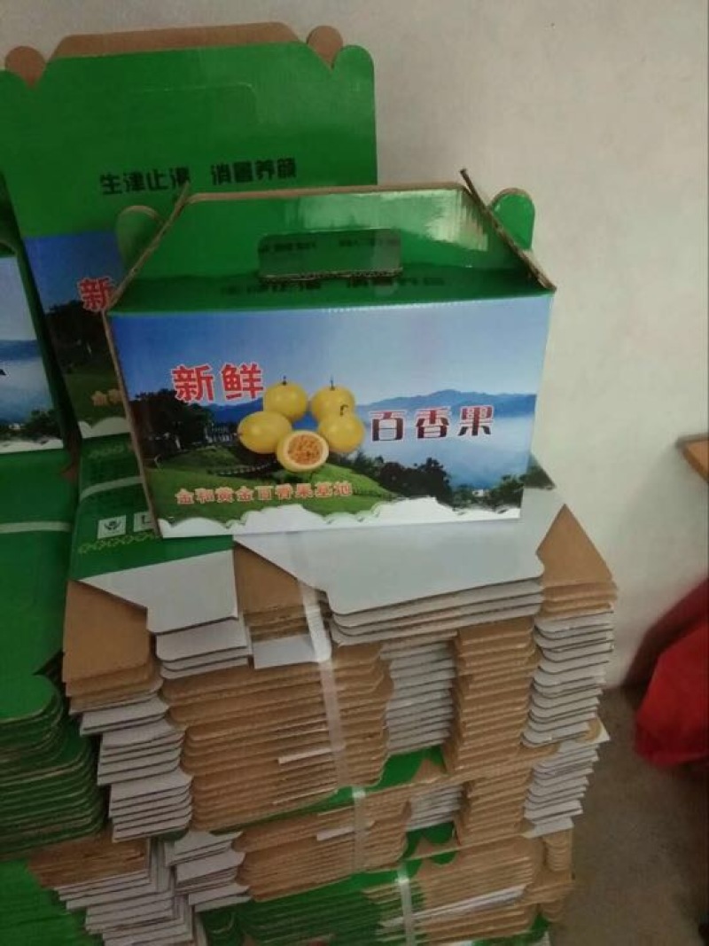 黄金百香果苗10~20cm高品质水果