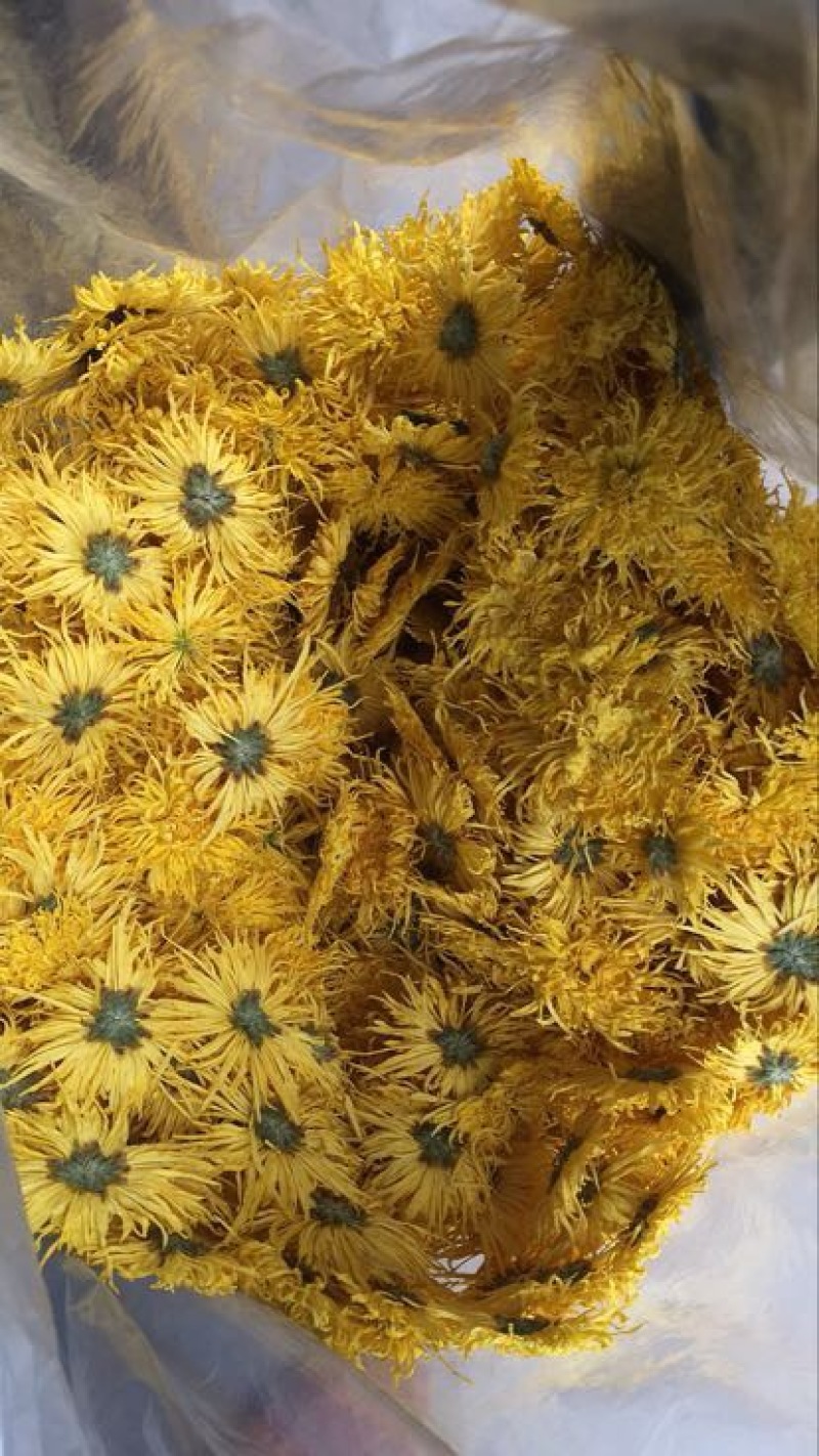 金丝皇菊茶一级