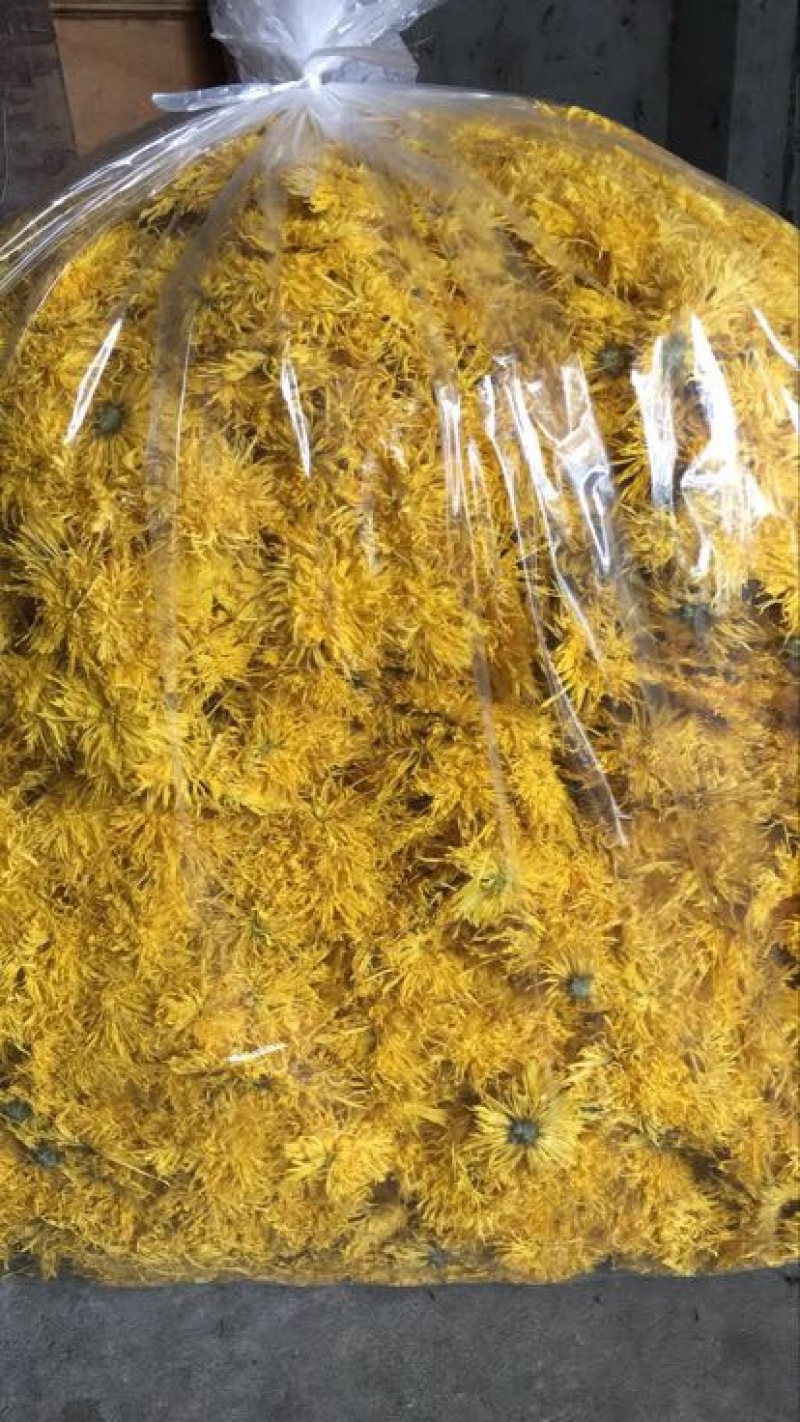 金丝皇菊茶一级