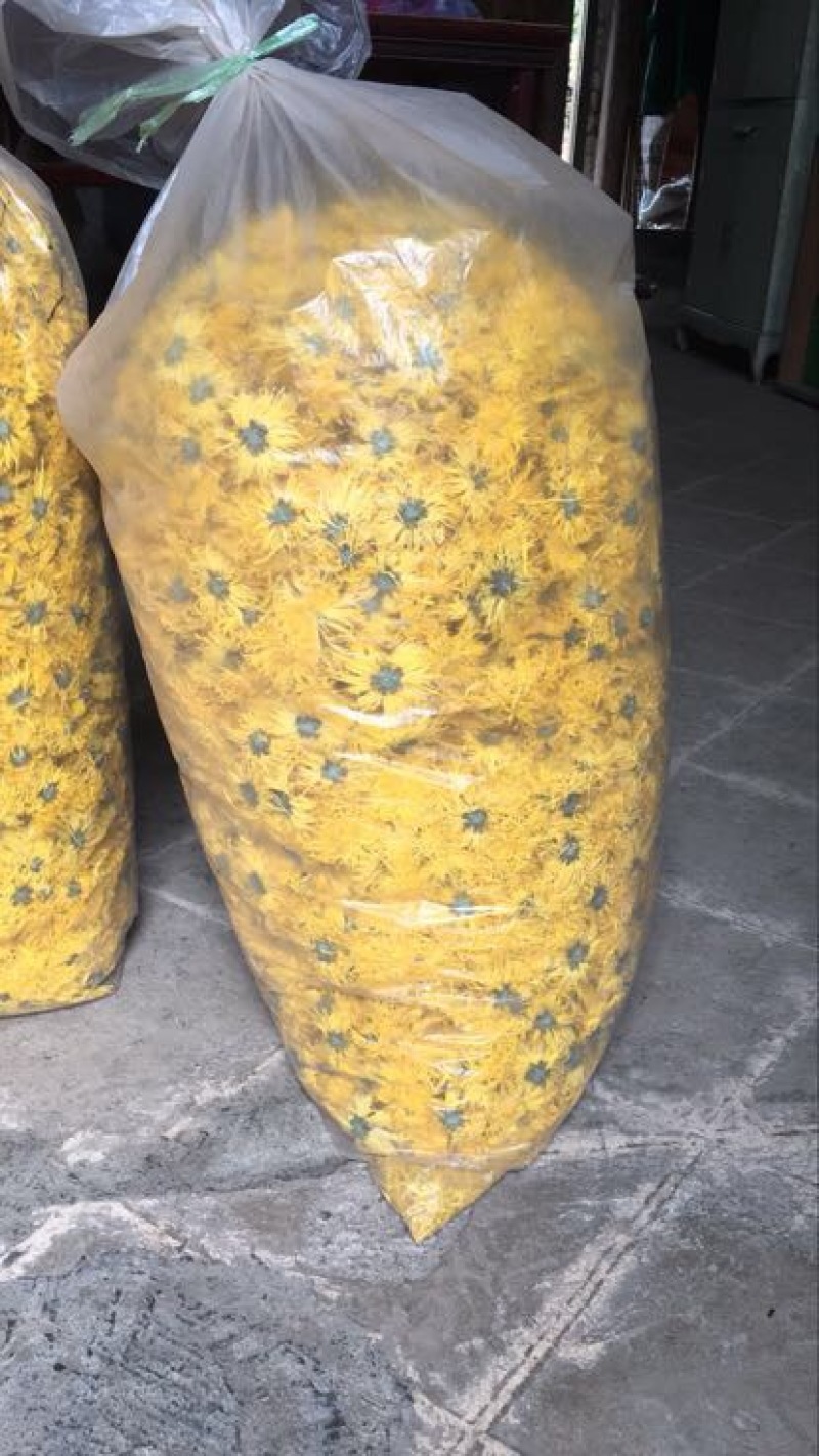 金丝皇菊茶一级