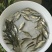 鳊鱼鱼苗白鲢鱼苗调节水质