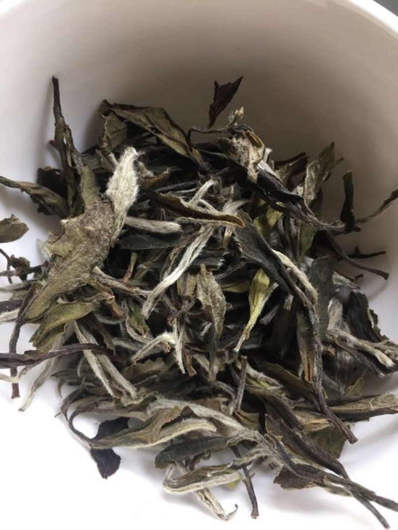白牡丹一级