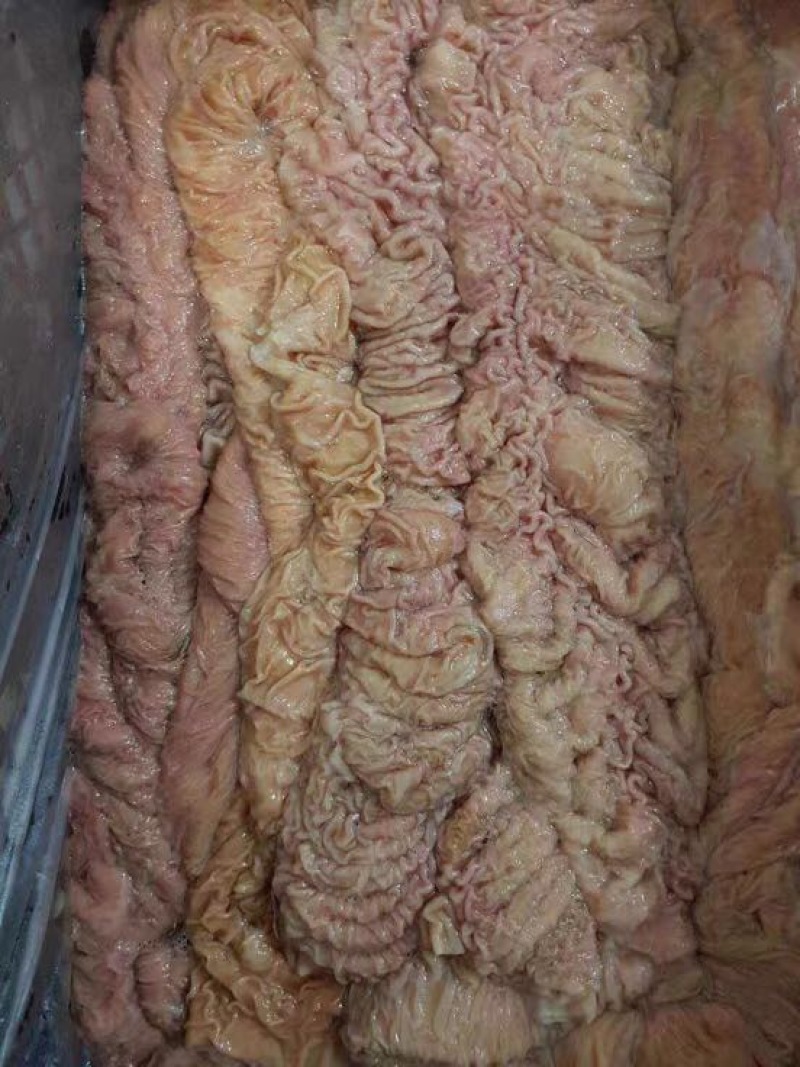 马肉冷冻