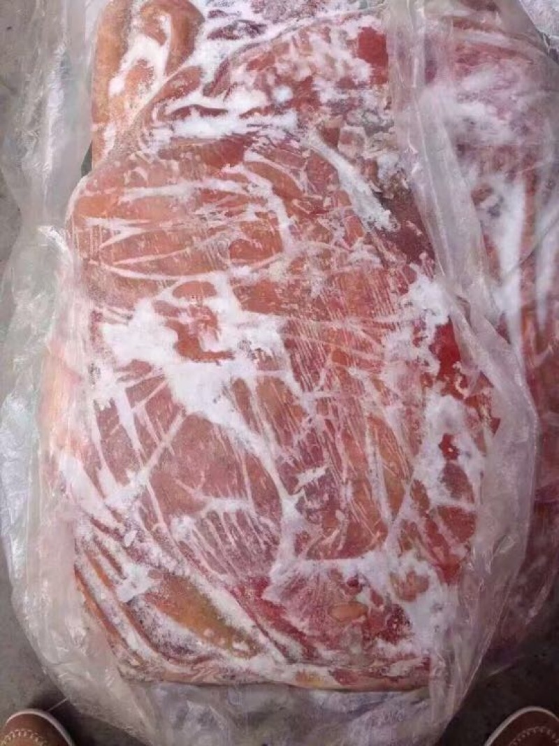马肉冷冻
