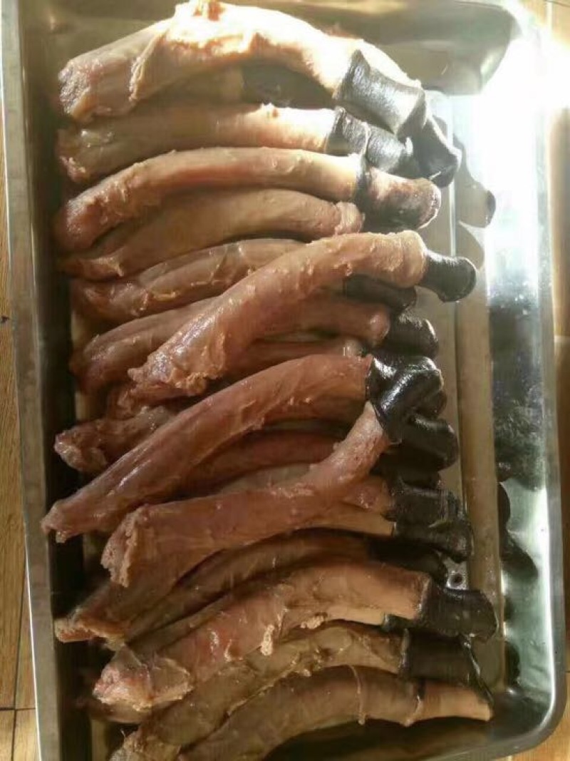 马肉冷冻