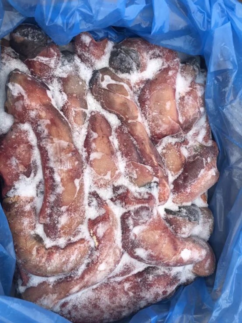 马肉冷冻