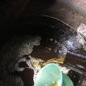 山茶油5斤