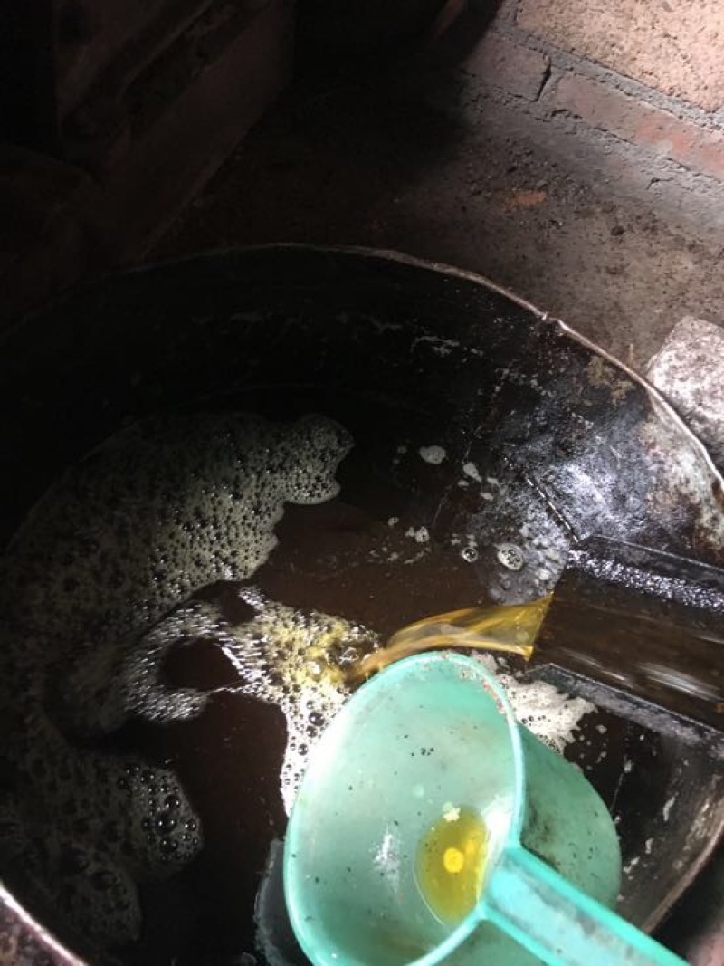 山茶油5斤
