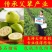 番石榴苗四季珍珠番石榴苗