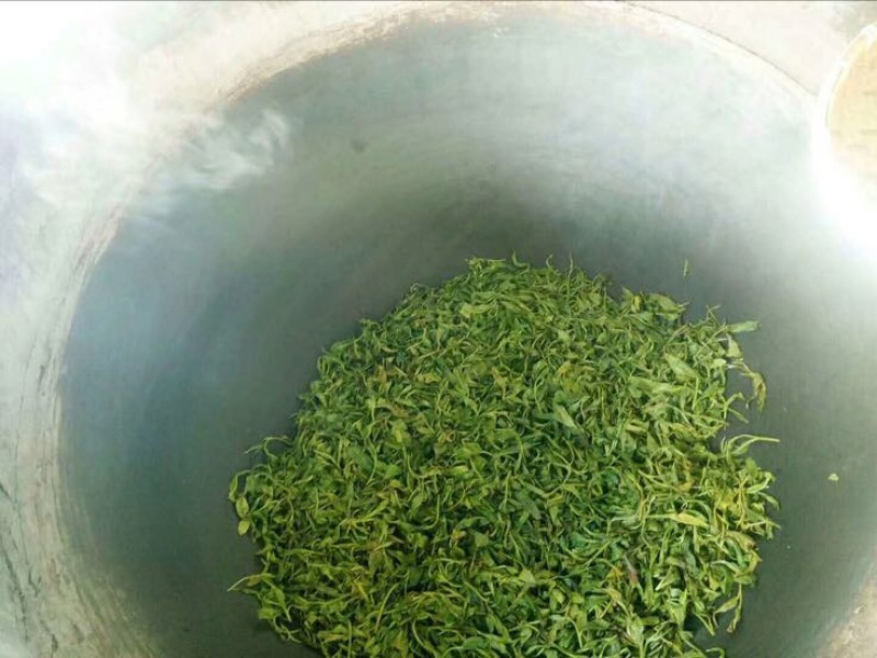 古树茶一级