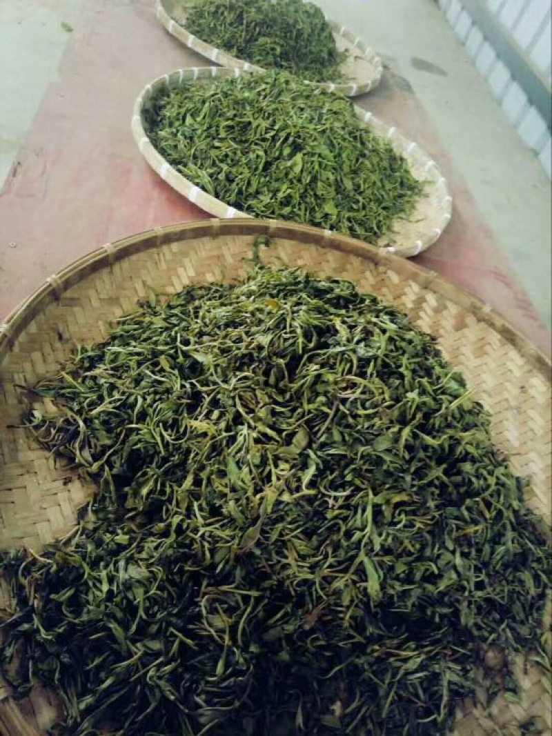 古树茶一级