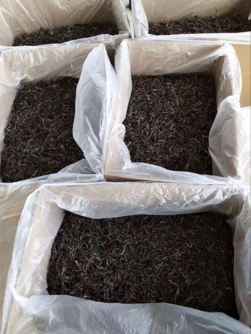 古树茶一级