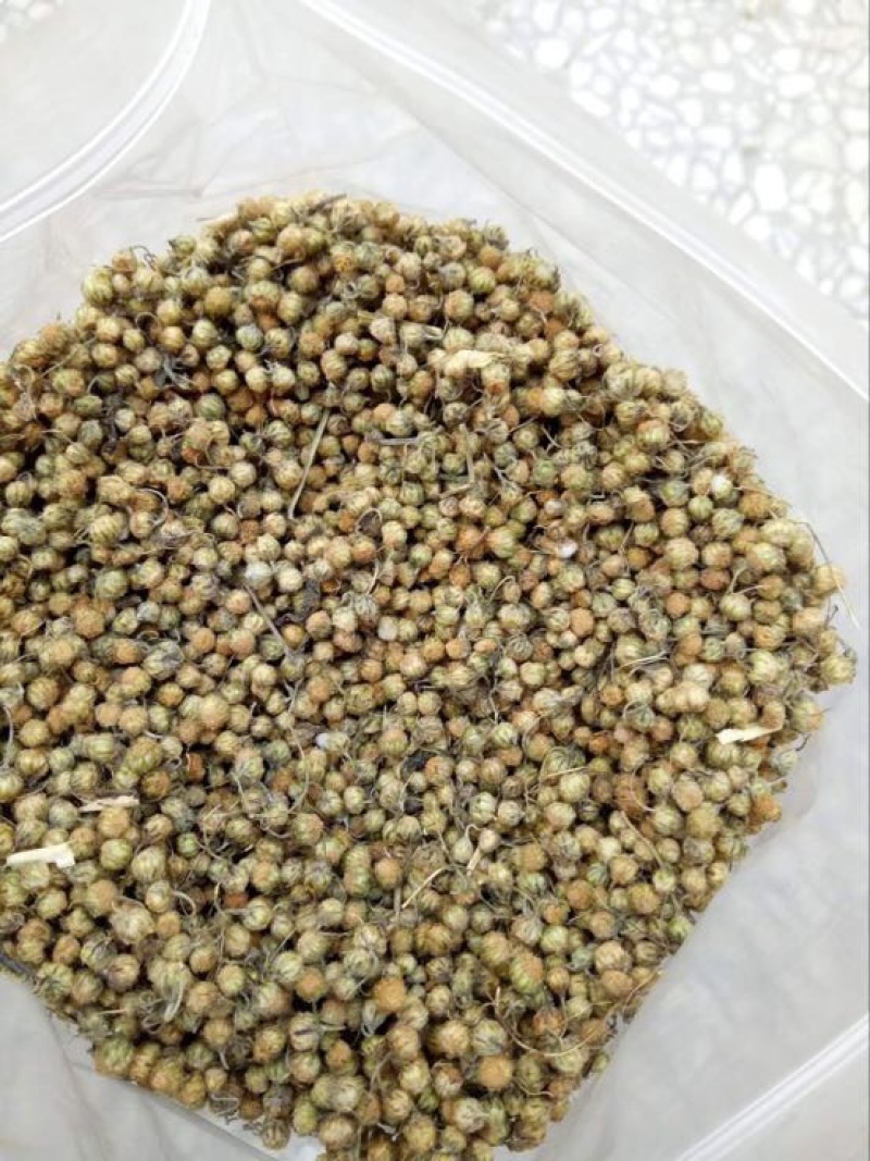 菊花茶特级