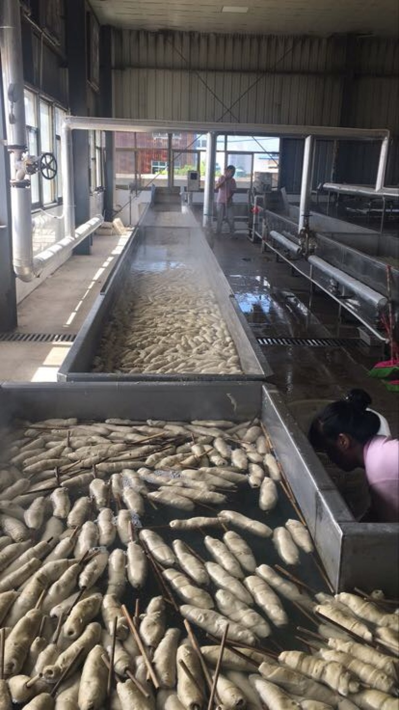 面筋